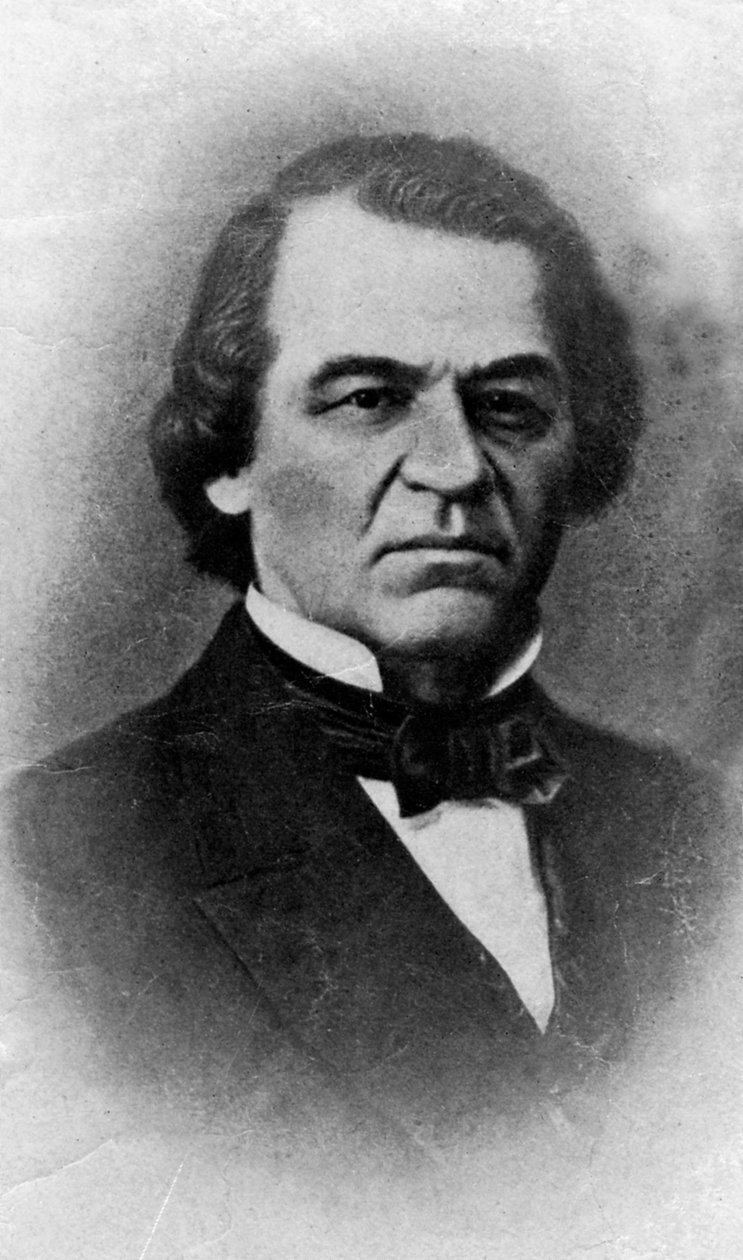 Andrew Johnson, prezident Spojených států, 20. století od Unbekannt