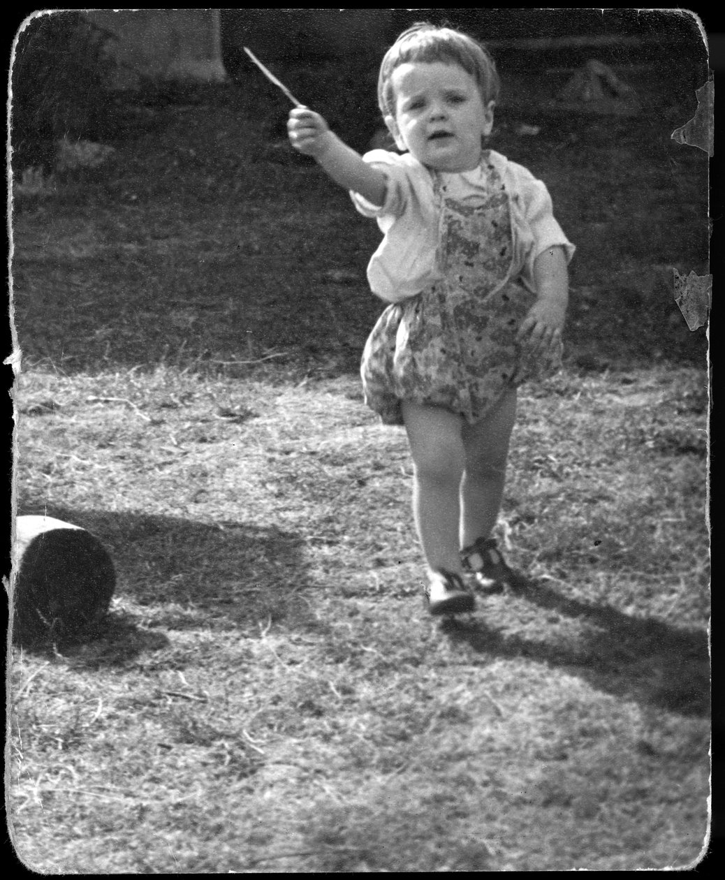 Andrew Nurnberg, syn fotografa Waltera s holí v zahradě, C1954 od Unbekannt