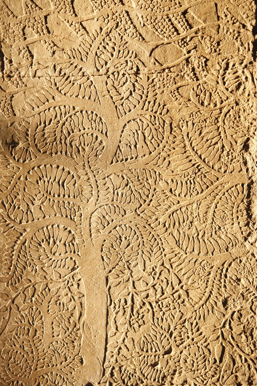Angkor Wat, vyřezávaný detail na WallTree, Siem Reap, Kambodža od Unbekannt
