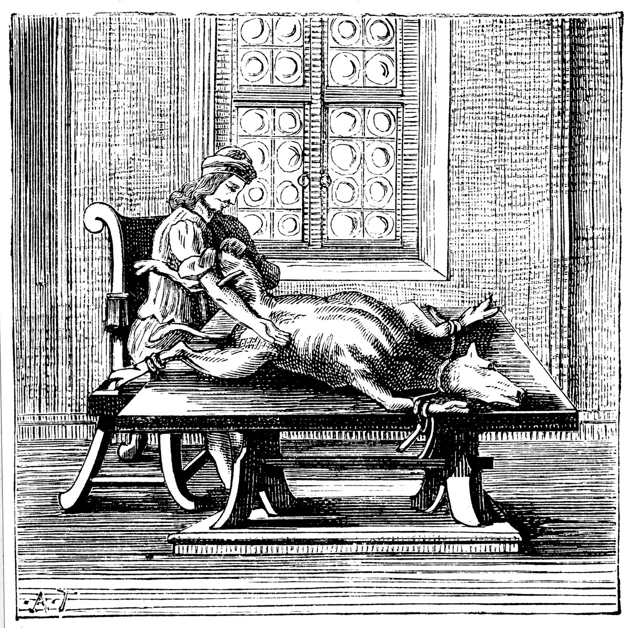 Transfuze krve ze zvířete na člověka, 1679 od Unbekannt