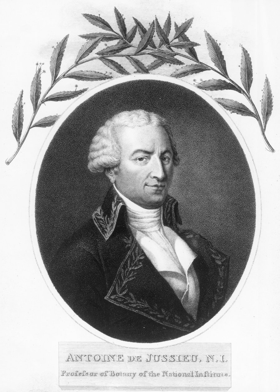 Antoine de Jussieu, francouzský botanik 18. století, 1807 od Unbekannt