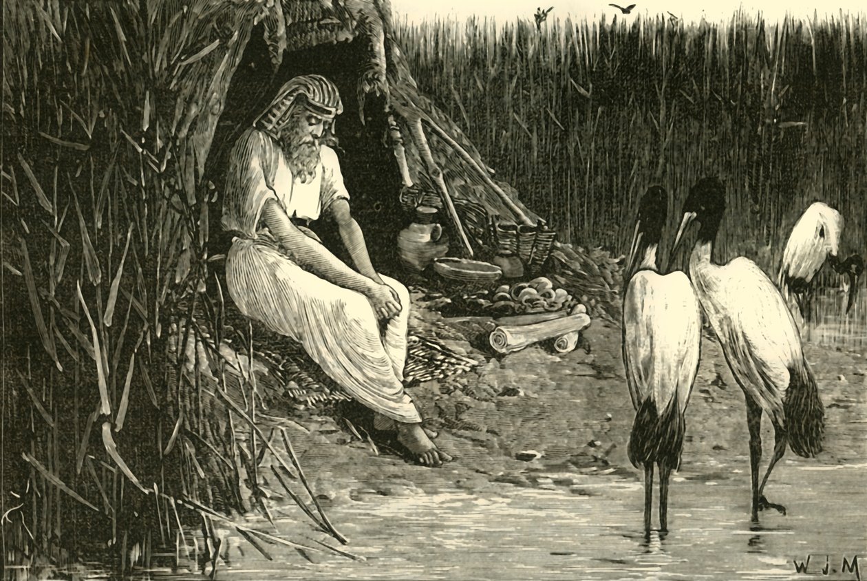 Anysis ukrytý v Marshes of the Delta, 1890. od Unbekannt