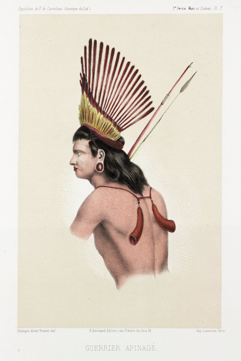 Apinage bojovník, Brazílie, c 1843-1847 od Unbekannt