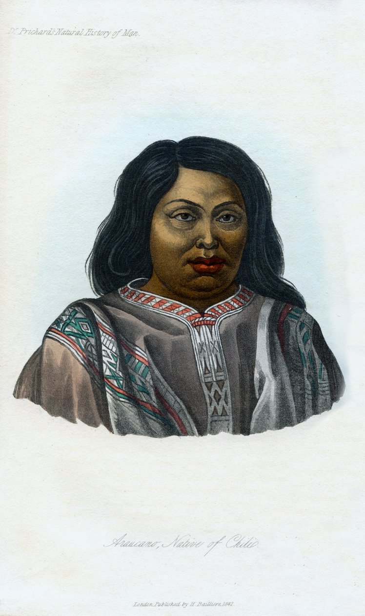 Araucano, rodák z Chili, 1848 od Unbekannt