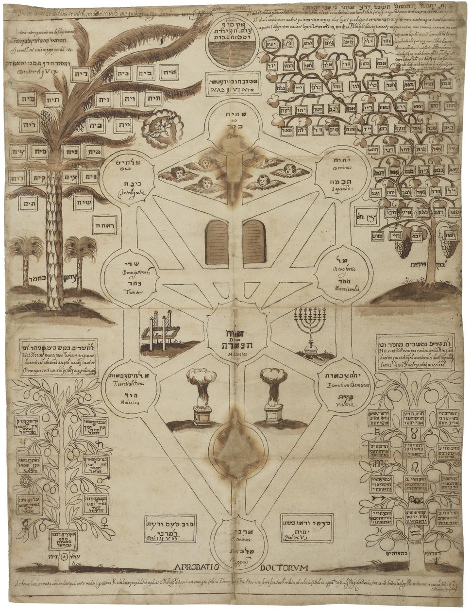 Kabalistický strom Arbor Cabalistica, asi 1625 od Unbekannt