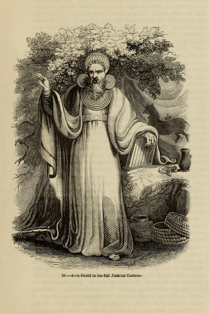 Arch-Druid ve svém plném soudním kostýmu Z knihy Stará Anglie: Obrazové muzeum, 1845 od Unbekannt