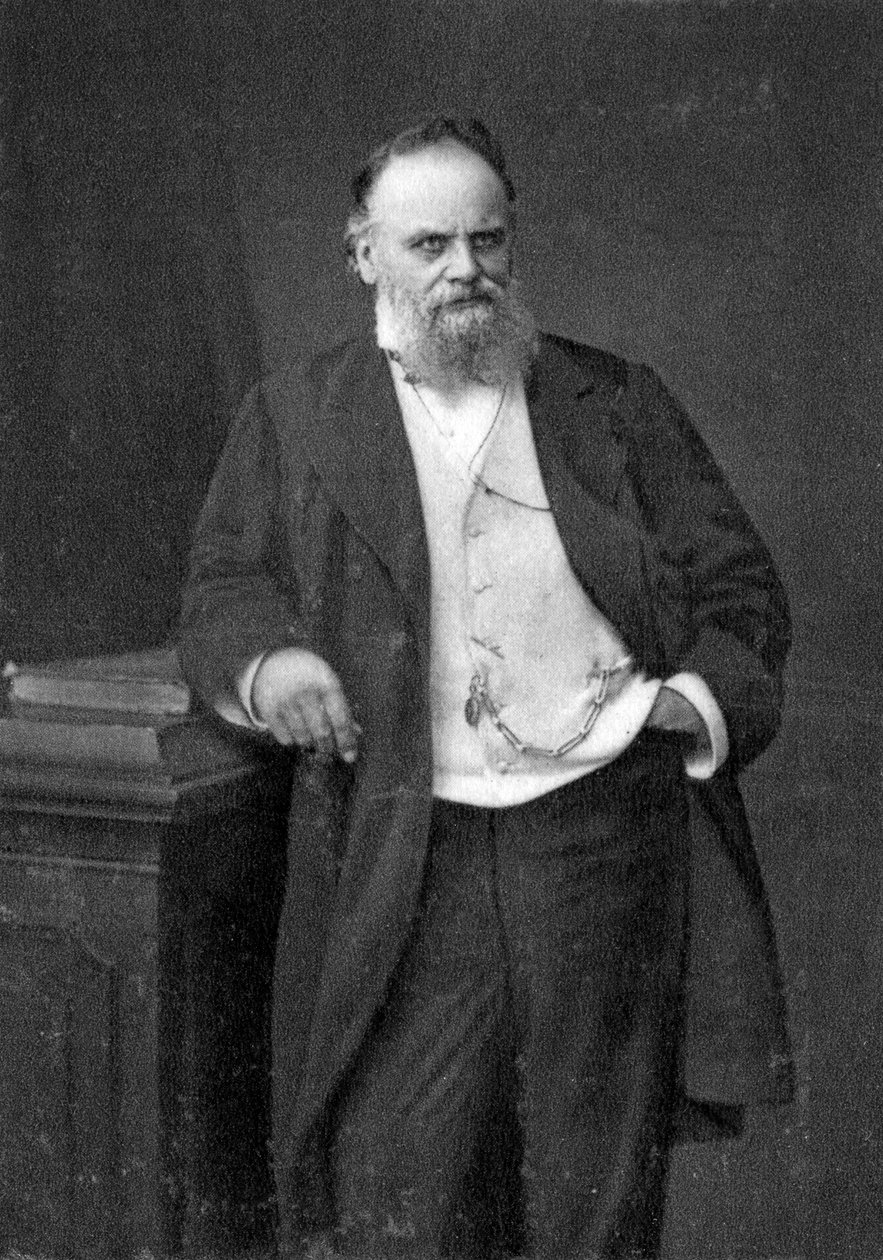 Aristide Boucicaut, francouzský maloobchodník, 1874 od Unbekannt