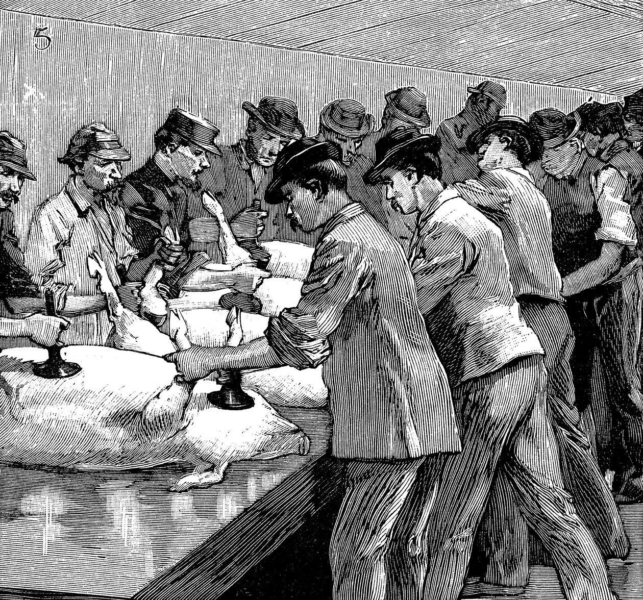 Armor Companys prasečí jatka, Chicago, Illinois, USA, 1892 od Unbekannt