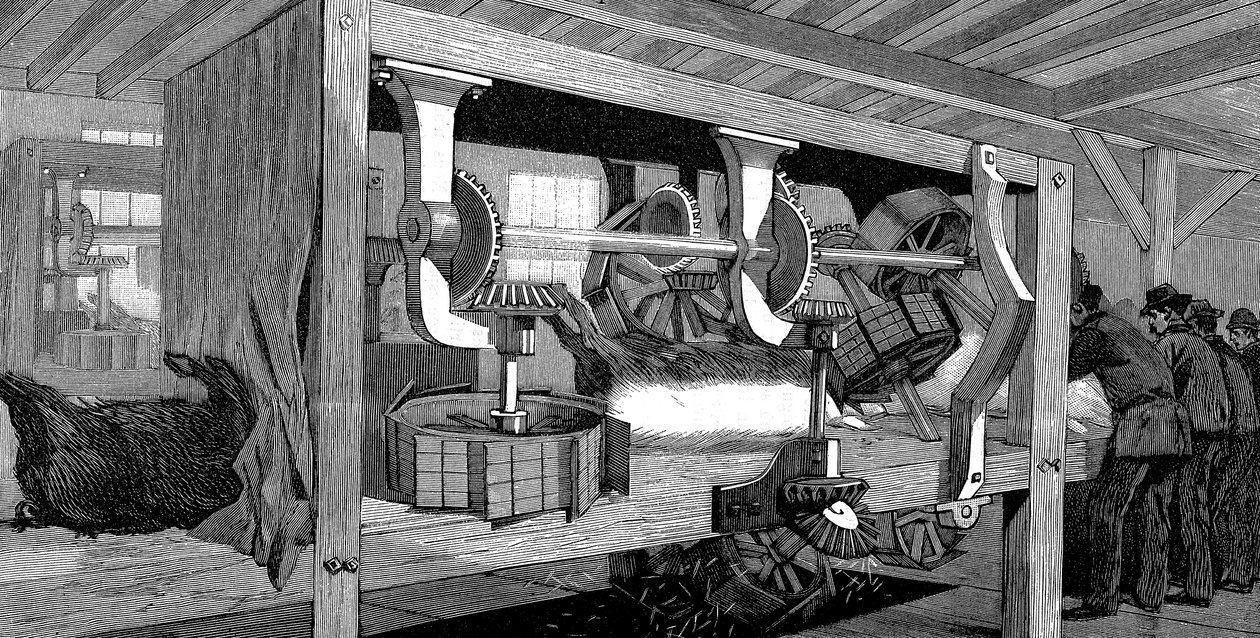 Armor Companys prasečí jatka, Chicago, Illinois, USA, 1892 od Unbekannt