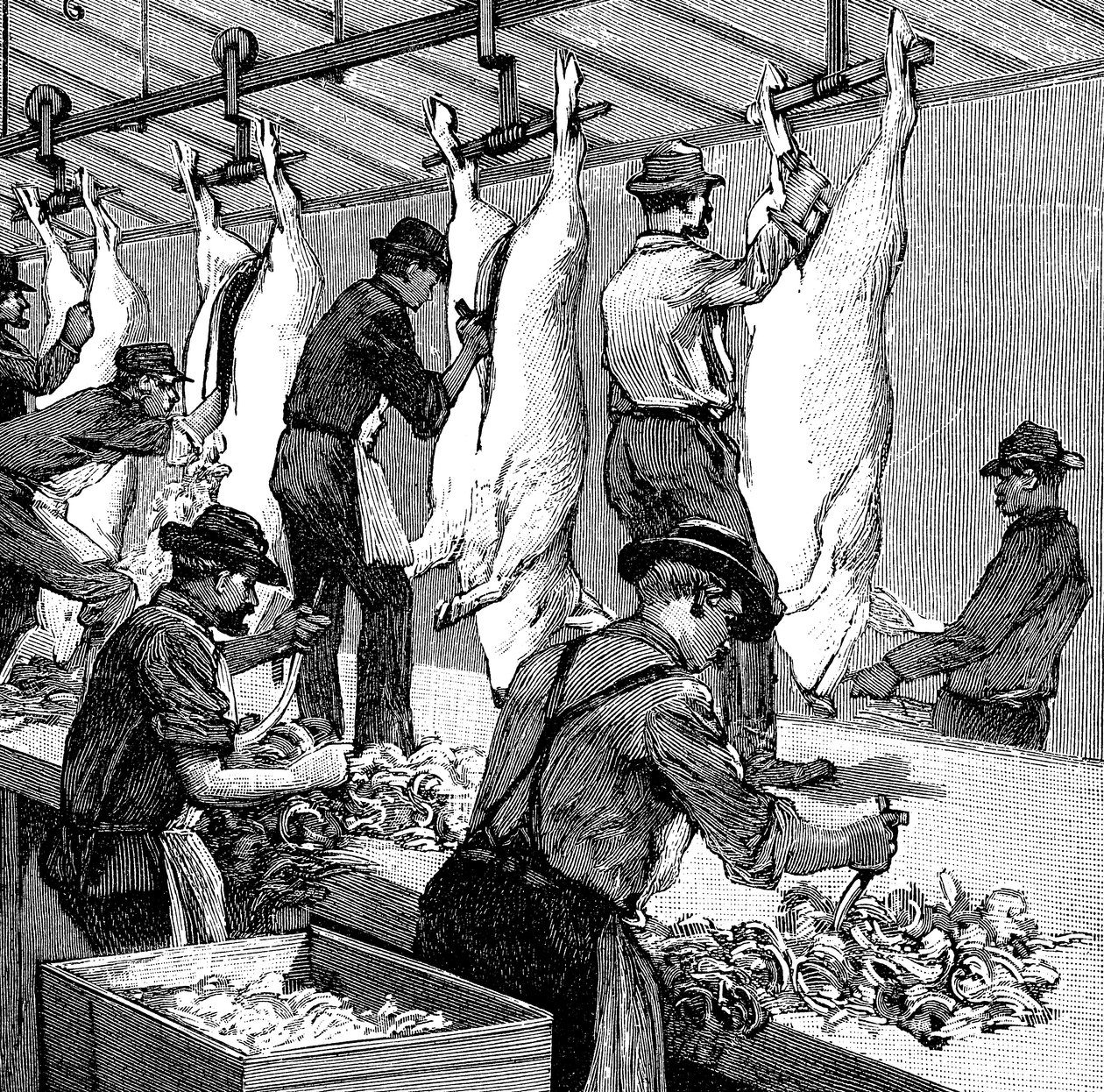 Armor Companys prasečí jatka, Chicago, Illinois, USA, 1892 od Unbekannt