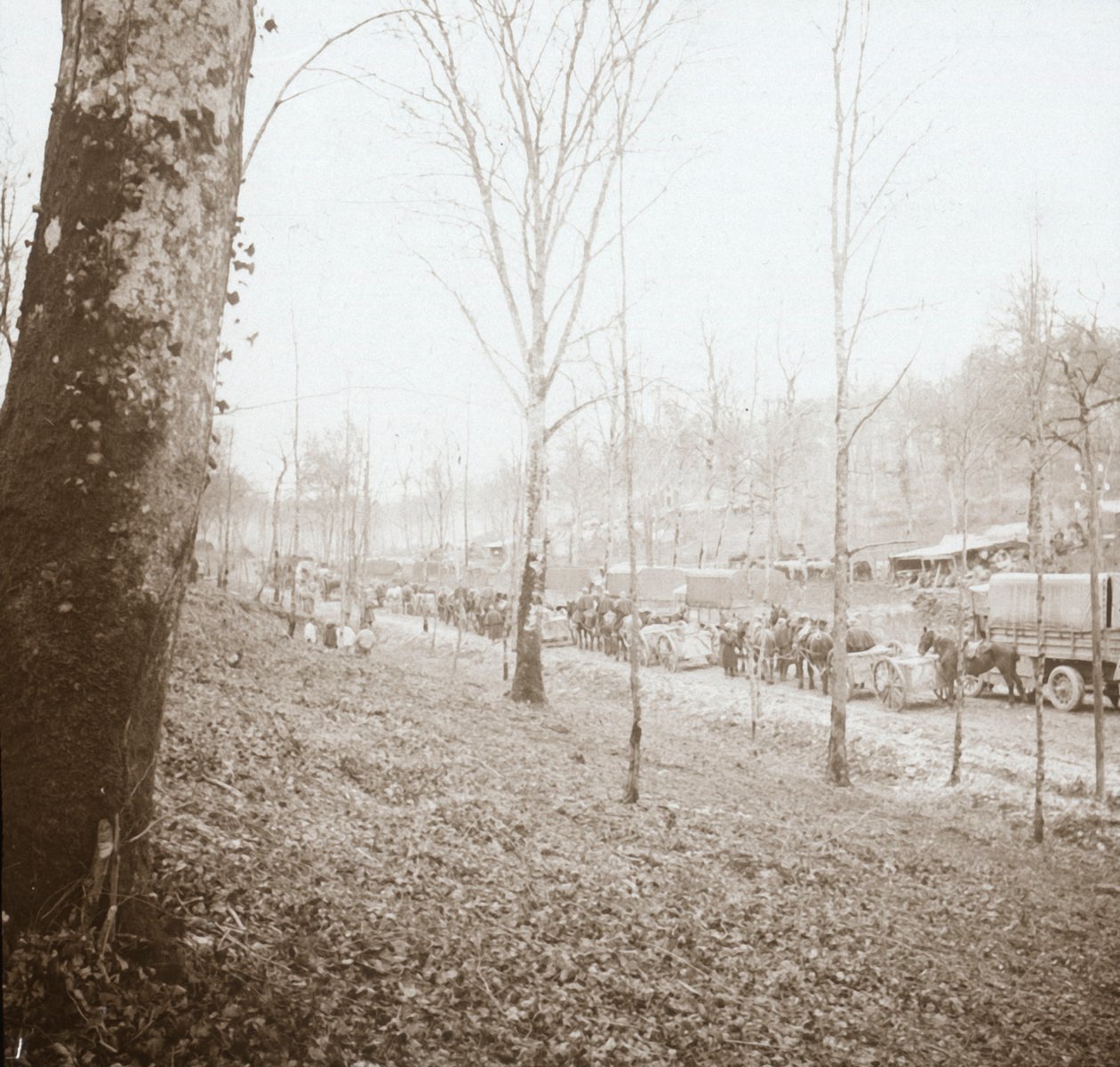 Dělostřelectvo, Somme, severní Francie, c1914-c1918 od Unbekannt