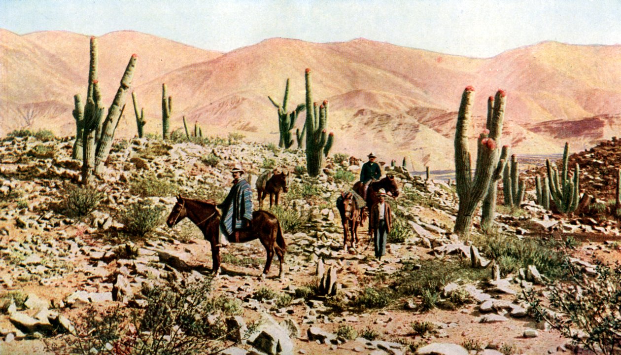 Poušť Atacama, Severní Chile, Jižní Amerika, c1923 od Unbekannt