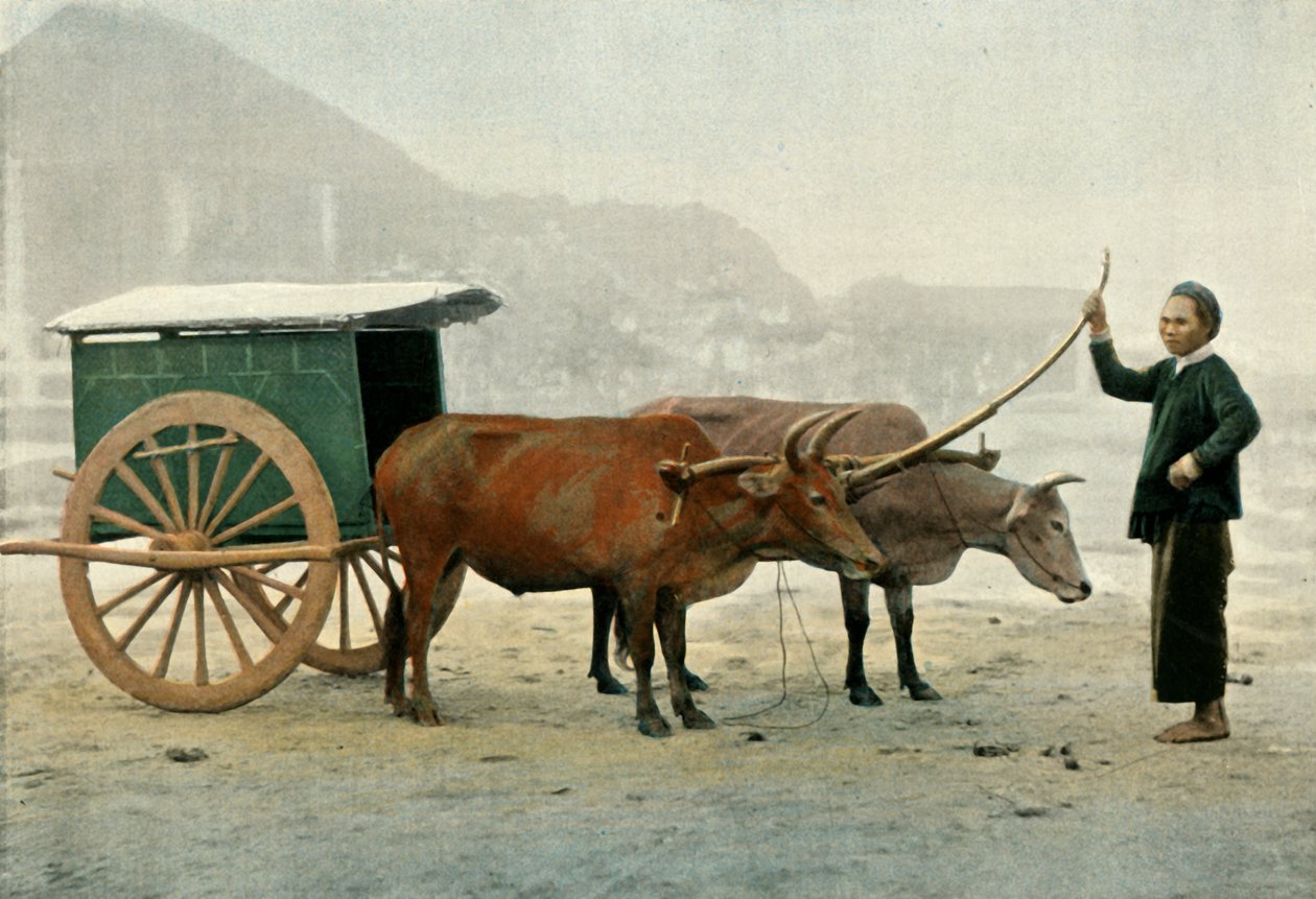 Attelage Annamite, Annamite Yoke, 1900. od Unbekannt