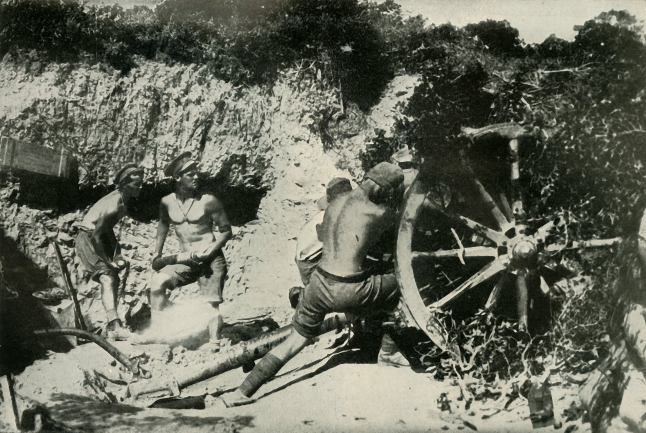 Australští střelci na poloostrově Gallipoli, 1919. od Unbekannt