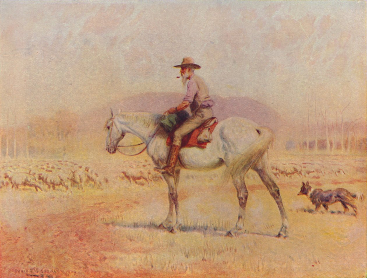 Australský chovatel ovcí, 1924 od Unbekannt