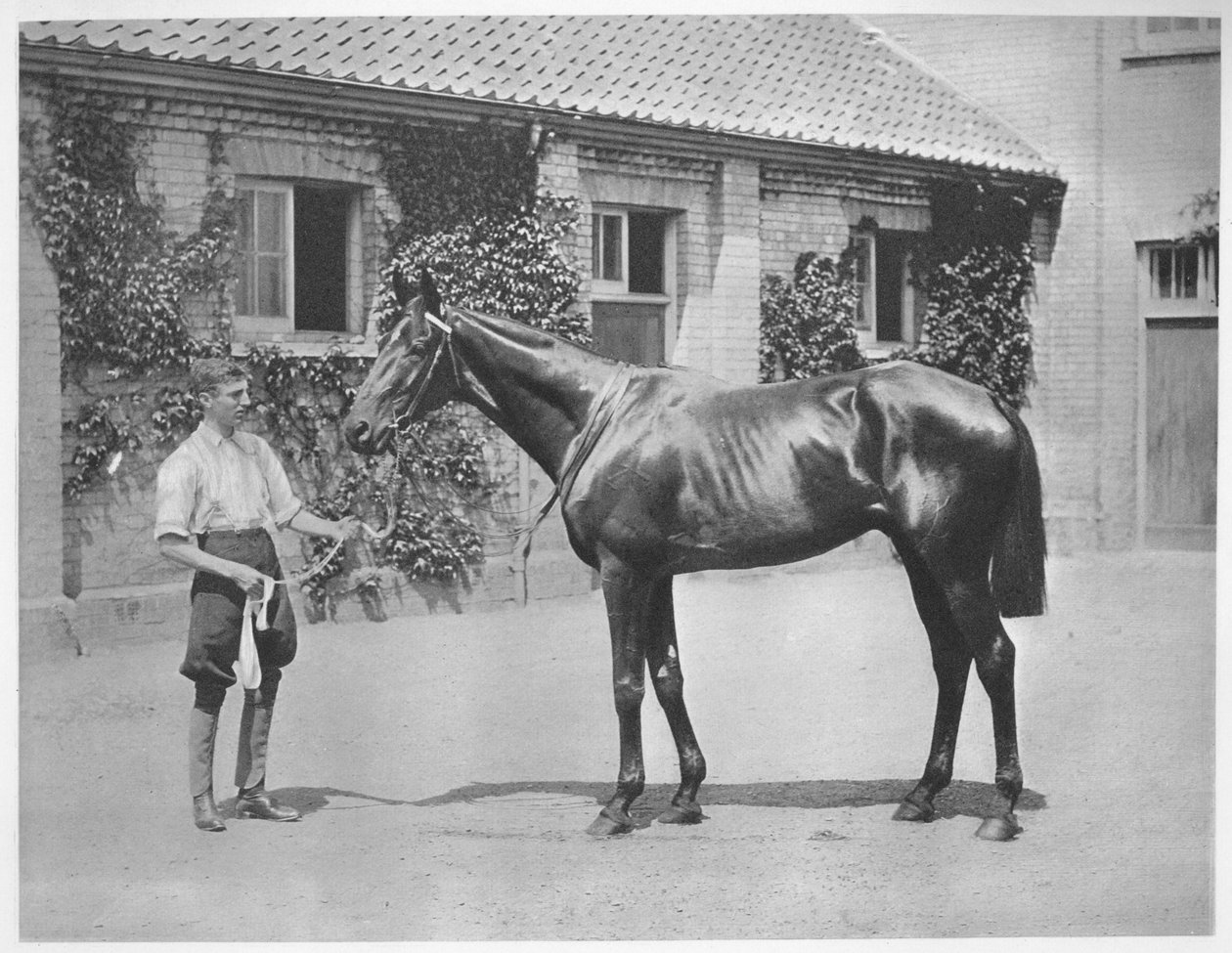 Australská hvězda, 1911 od Unbekannt