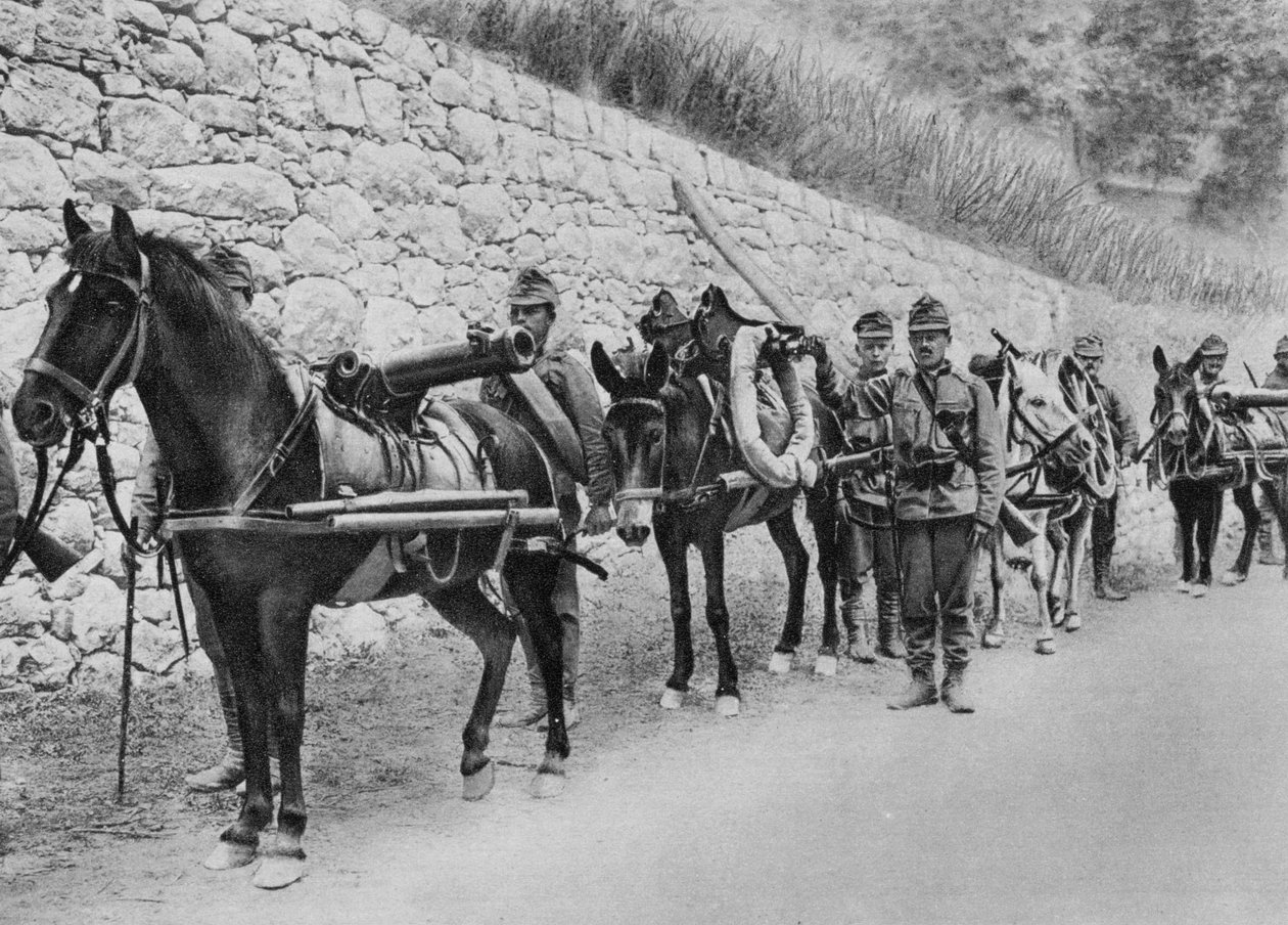 Rakouští vojáci, rakousko-italská válka, bitva u Isonzo, první světová válka, 1915 od Unbekannt