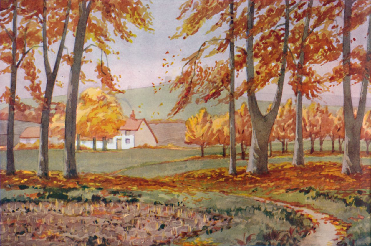 Podzim - Fyzikální, chemické a biologické změny způsobené Sluncem v průběhu roku, 1935 od Unbekannt