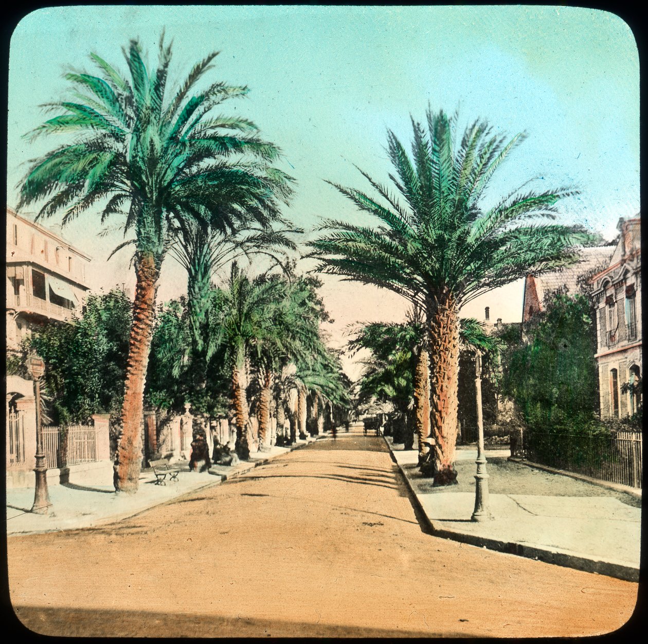 Avenue of Palms, Hyeres, Francie, konec 19. nebo začátek 20. století od Unbekannt