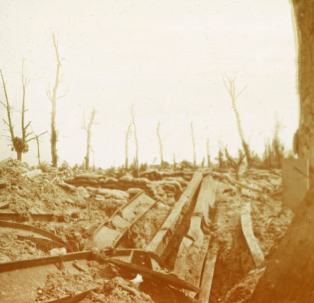 Břehy řeky Yser, Diksmuide, Belgie, c1914-c1918 od Unbekannt