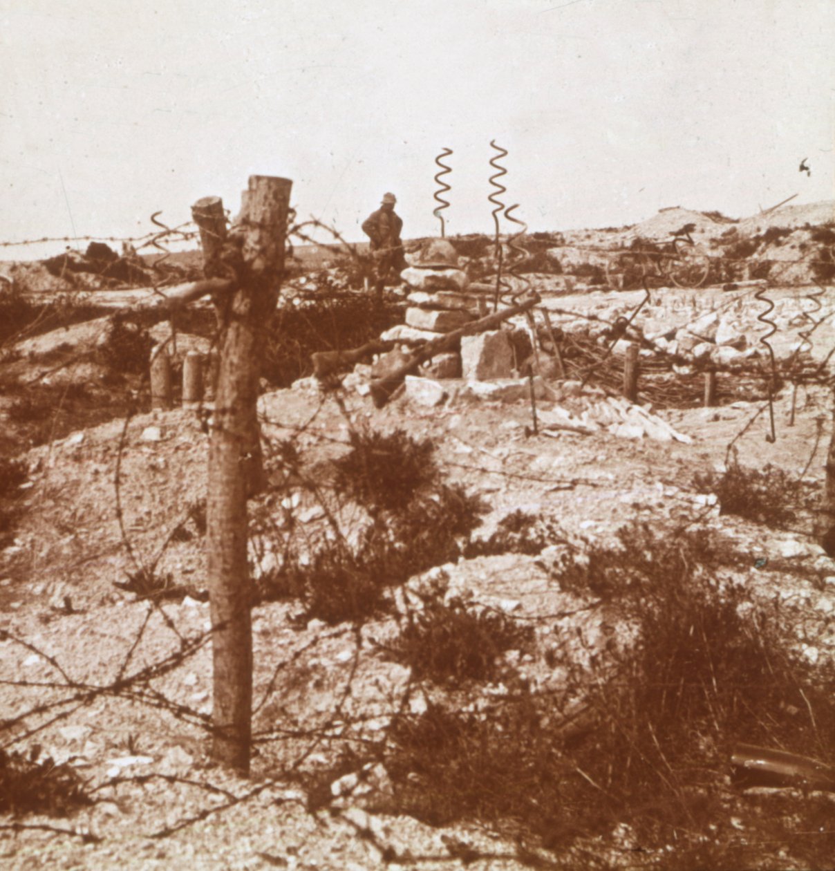 Ostnatý drát, Craonne, severní Francie, c1914-c1918 od Unbekannt