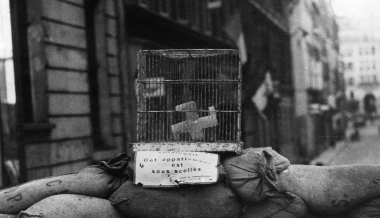 Barikáda na Rue de Chateaudun, osvobození Paříže, srpen 1944 od Unbekannt