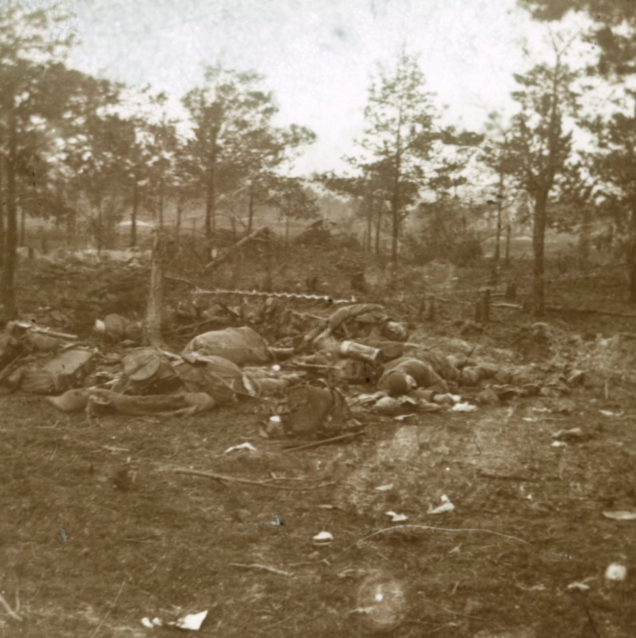 Bitva u Champagne, Souain, severní Francie, c1915. od Unbekannt