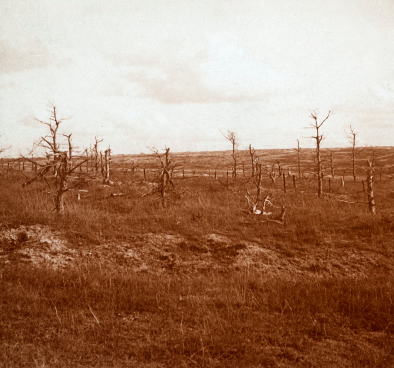 Battlefield, Tahure, severní Francie, c1914-c1918 od Unbekannt