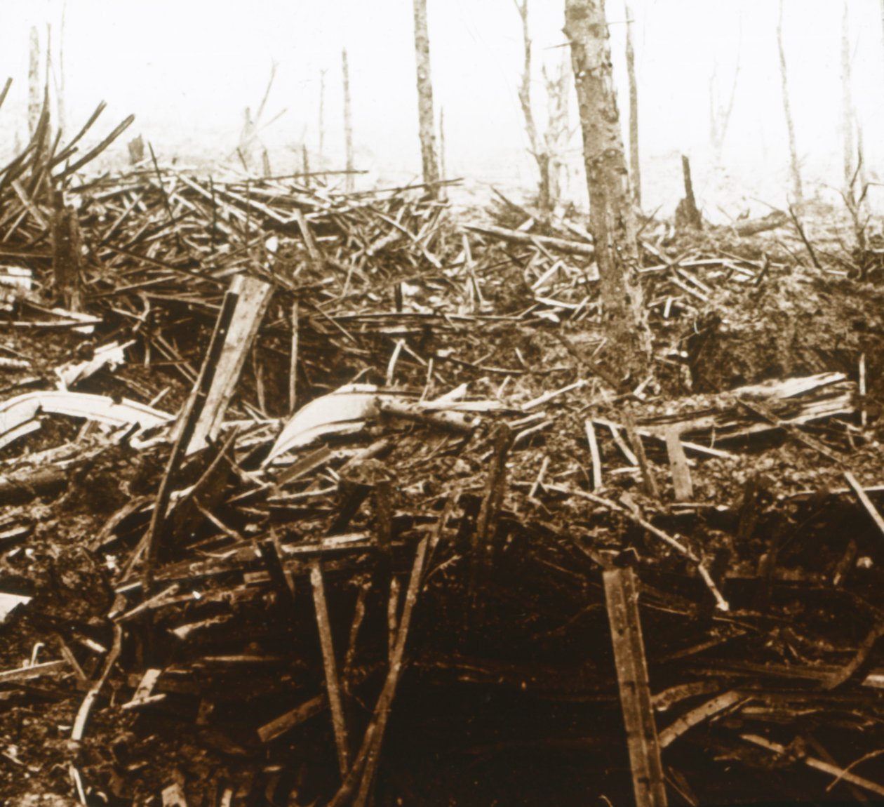 Battlefield, c1914-c1918 od Unbekannt
