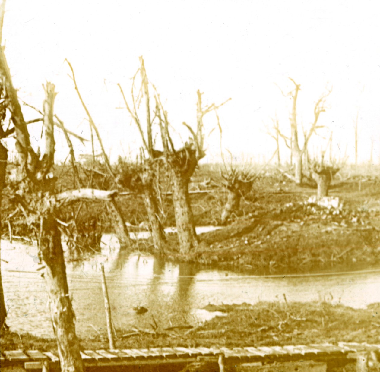 Battlefield, c1914-c1918 od Unbekannt