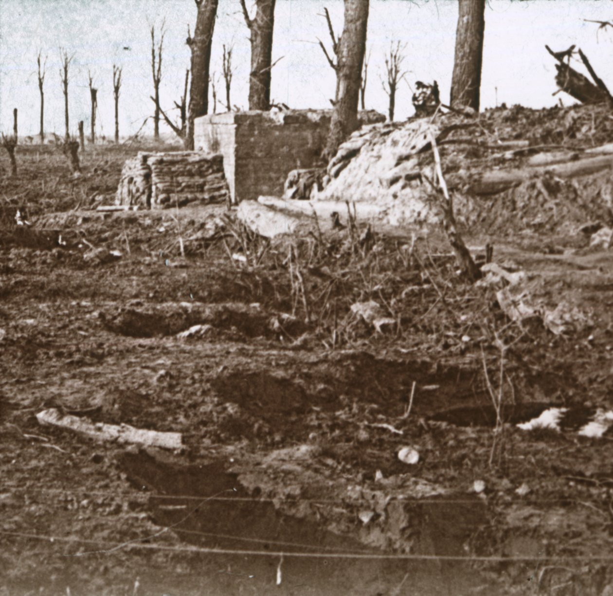 Battlefield, c1914-c1918 od Unbekannt