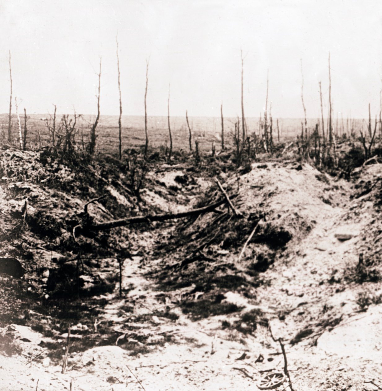 Battlefield, c1914-c1918 od Unbekannt