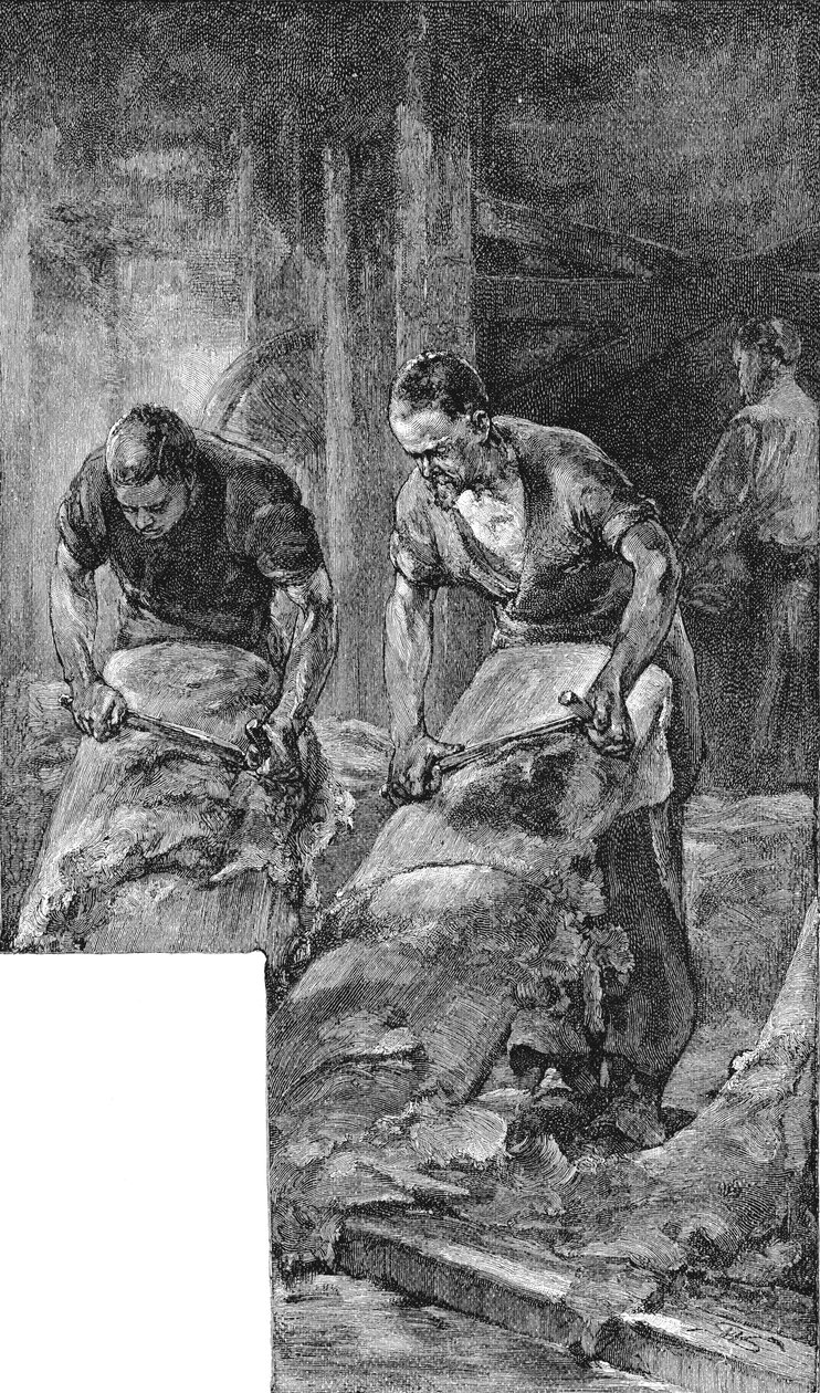 Trámové kůže pro výrobu obuvi na boty, 1885 od Unbekannt