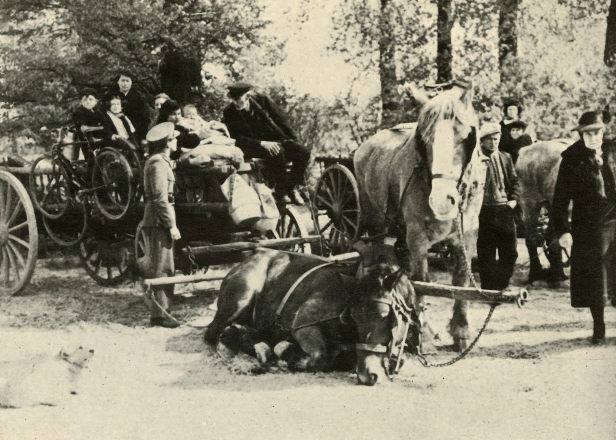 Belgičtí uprchlíci na cestě, 1939-1940, 1941. od Unbekannt