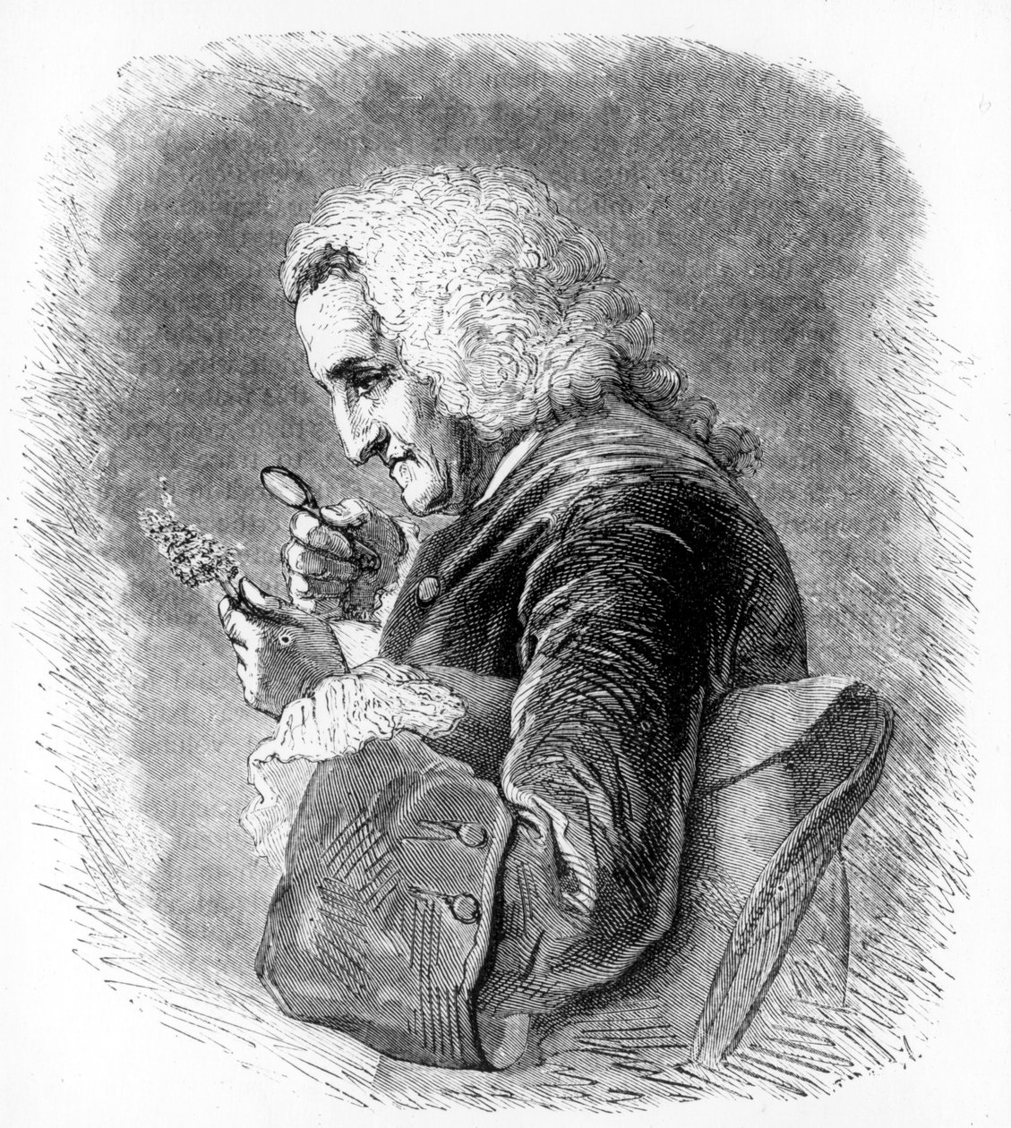 Bernard de Jussieu, francouzský botanik 18. století, 1880 od Unbekannt
