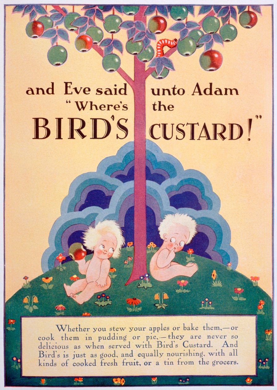 Reklama Ptačí pudink, 1928 od Unbekannt