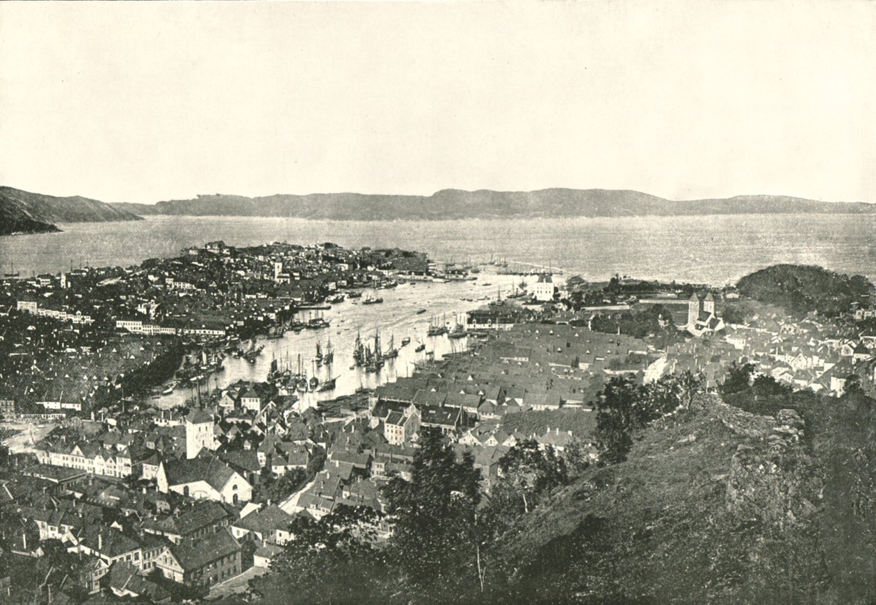 Pohled z ptačí perspektivy na přístav, Bergen, Norsko, 1895. od Unbekannt