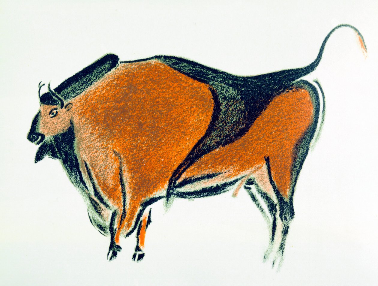 Bison, kopie paleolitické jeskynní malby v Altamiře, severní Španělsko, 1913 od Unbekannt