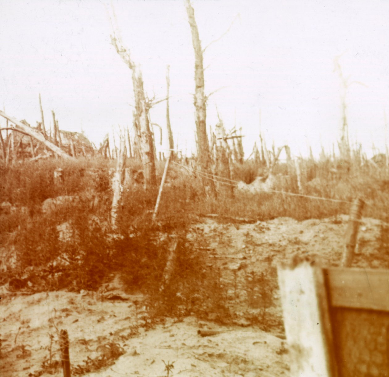 Otryskané dřevo, Nieuwpoort, Flandry, Belgie, c1914-c1918 od Unbekannt