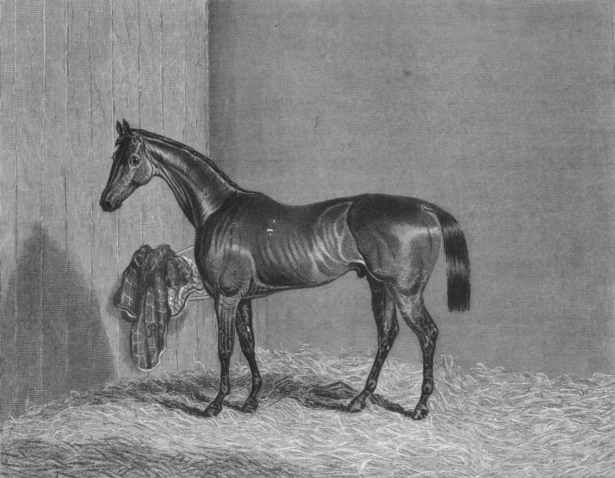Bloomsbury, 1836-1861, 1911 od Unbekannt