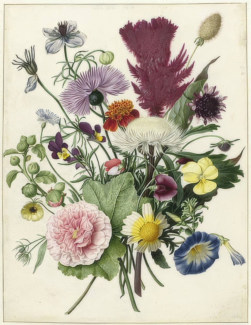 Kytice. 1680 od Unbekannt