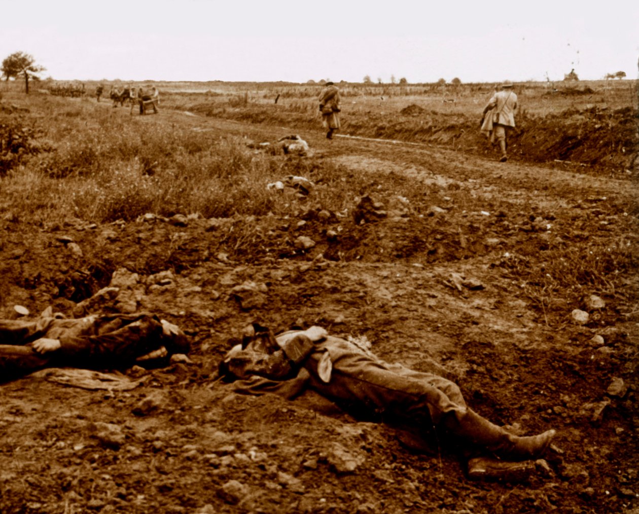 Těla německých vojáků, c1914-c1918 od Unbekannt