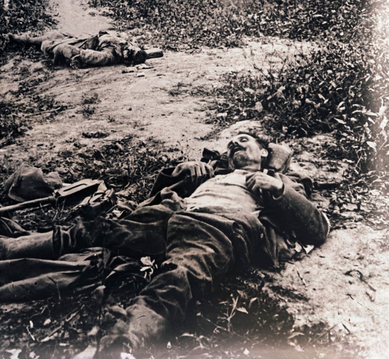 Těla mrtvých vojáků, c1914-c1918 od Unbekannt