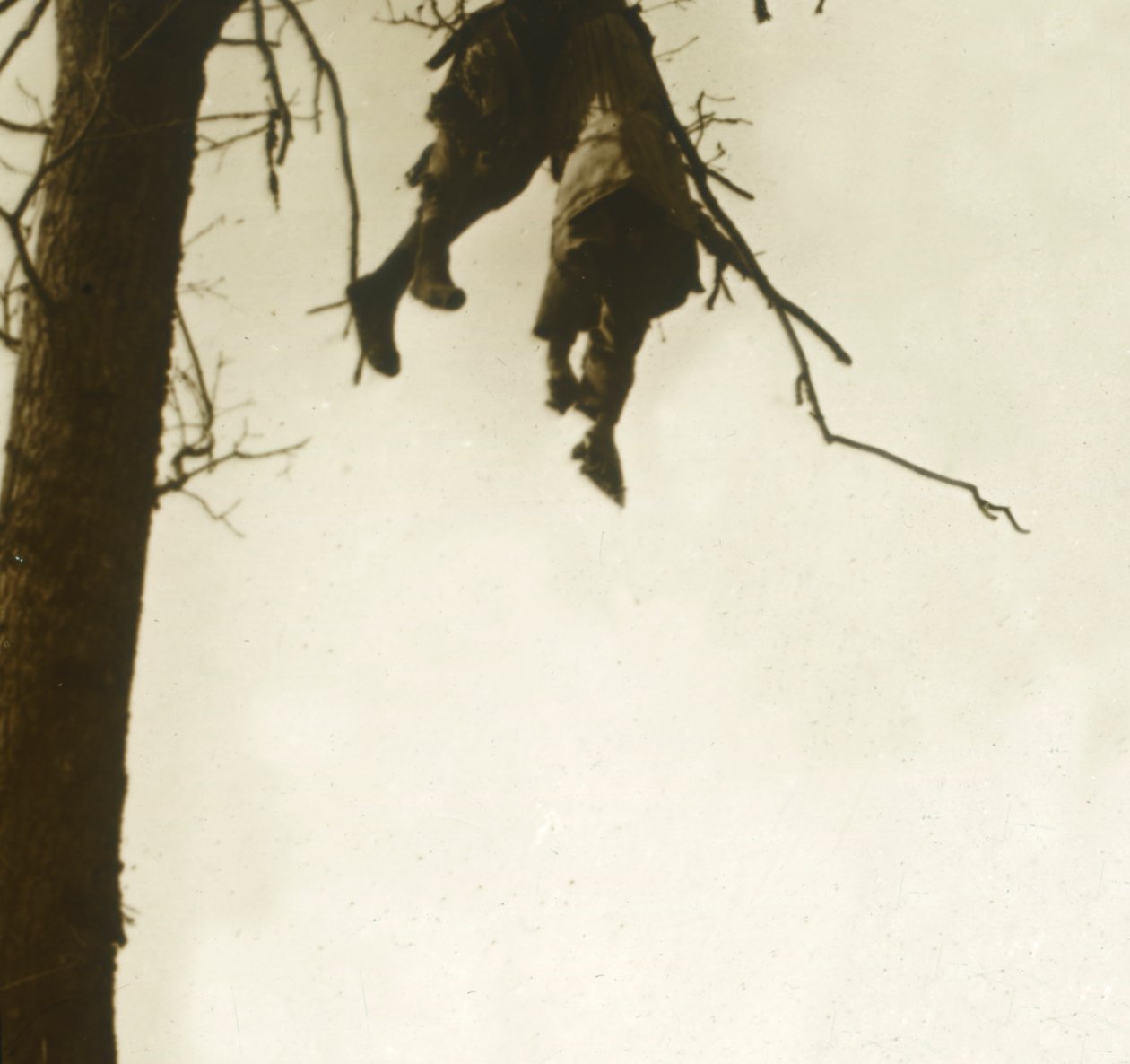 Tělo na stromě, Bois dAvocourt, Verdun, severní Francie, c1914-c1918. od Unbekannt