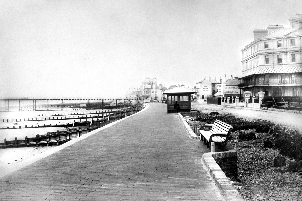 Bognorský průvod, c1882 od Unbekannt