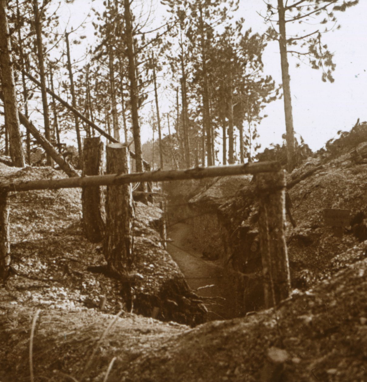 Bois-le-Prêtre, severní Francie, c1914-c1915 od Unbekannt