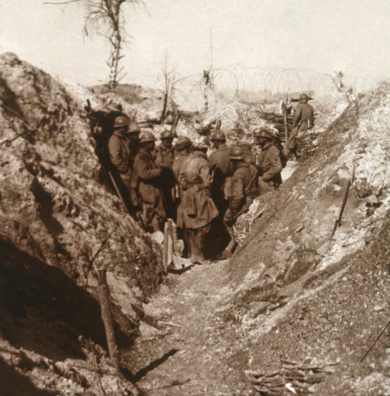 Bois de la Grille před útokem, severní Francie, c1914-c1918 od Unbekannt