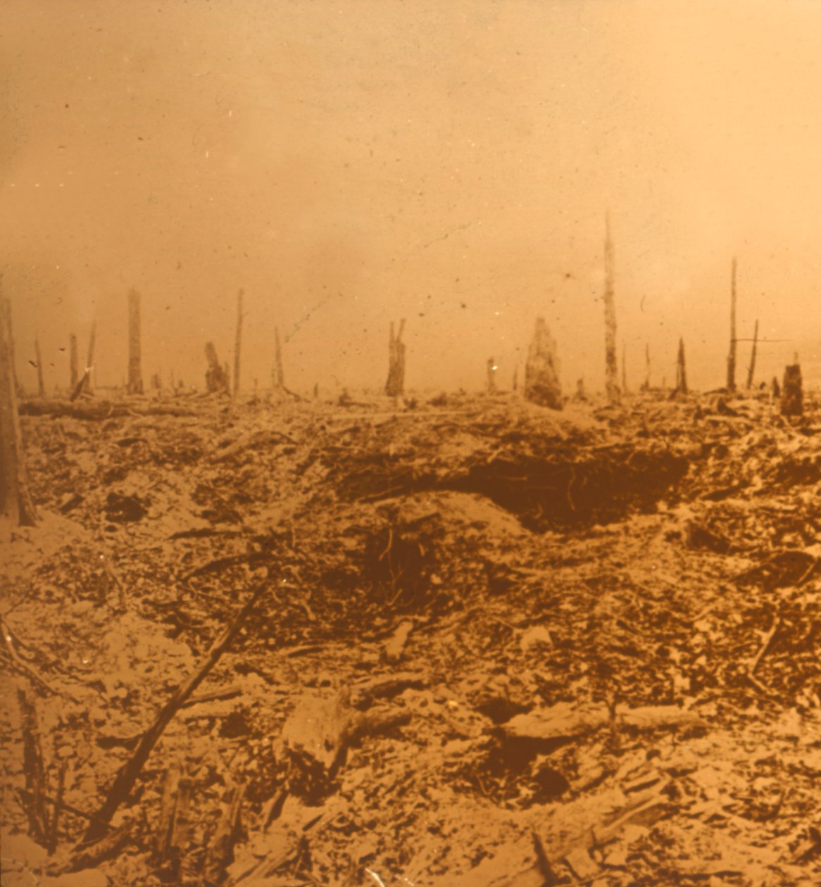 Bois du Chapitre, Vaux, severní Francie, c1914-c1918 od Unbekannt