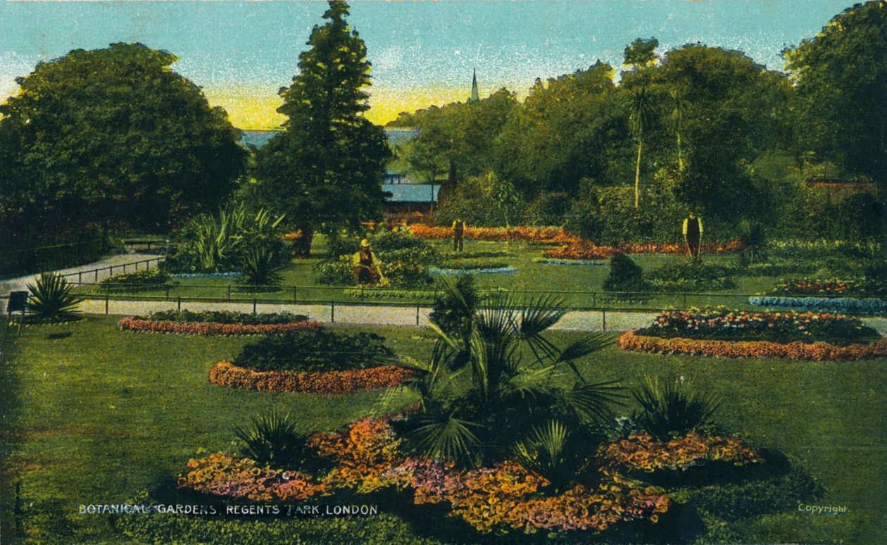 Botanická zahrada, Regents Park, Londýn, c1910 od Unbekannt