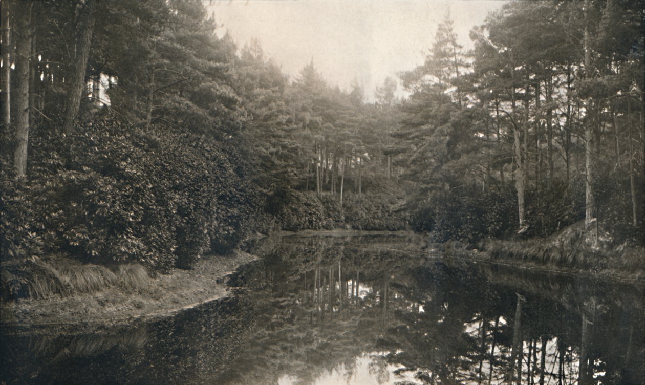 Branksome Chine and Lake, c1910 od Unbekannt